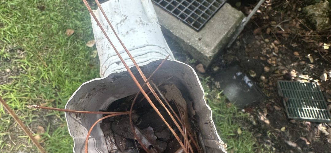 French Drain Cleaning